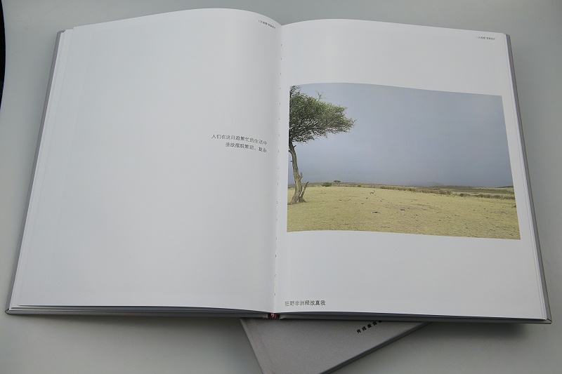 企業(yè)高檔產(chǎn)品畫(huà)冊(cè)